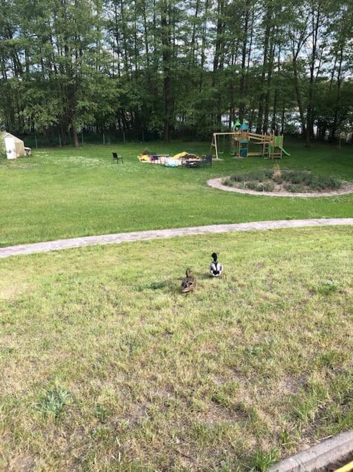 Haus Wilma Gruene Idylle Im Wald Direkt Am See Вендіш-Ріц Екстер'єр фото