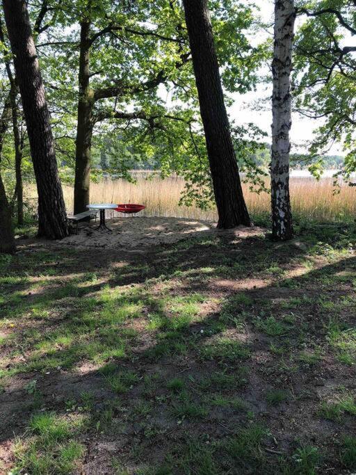 Haus Wilma Gruene Idylle Im Wald Direkt Am See Вендіш-Ріц Екстер'єр фото